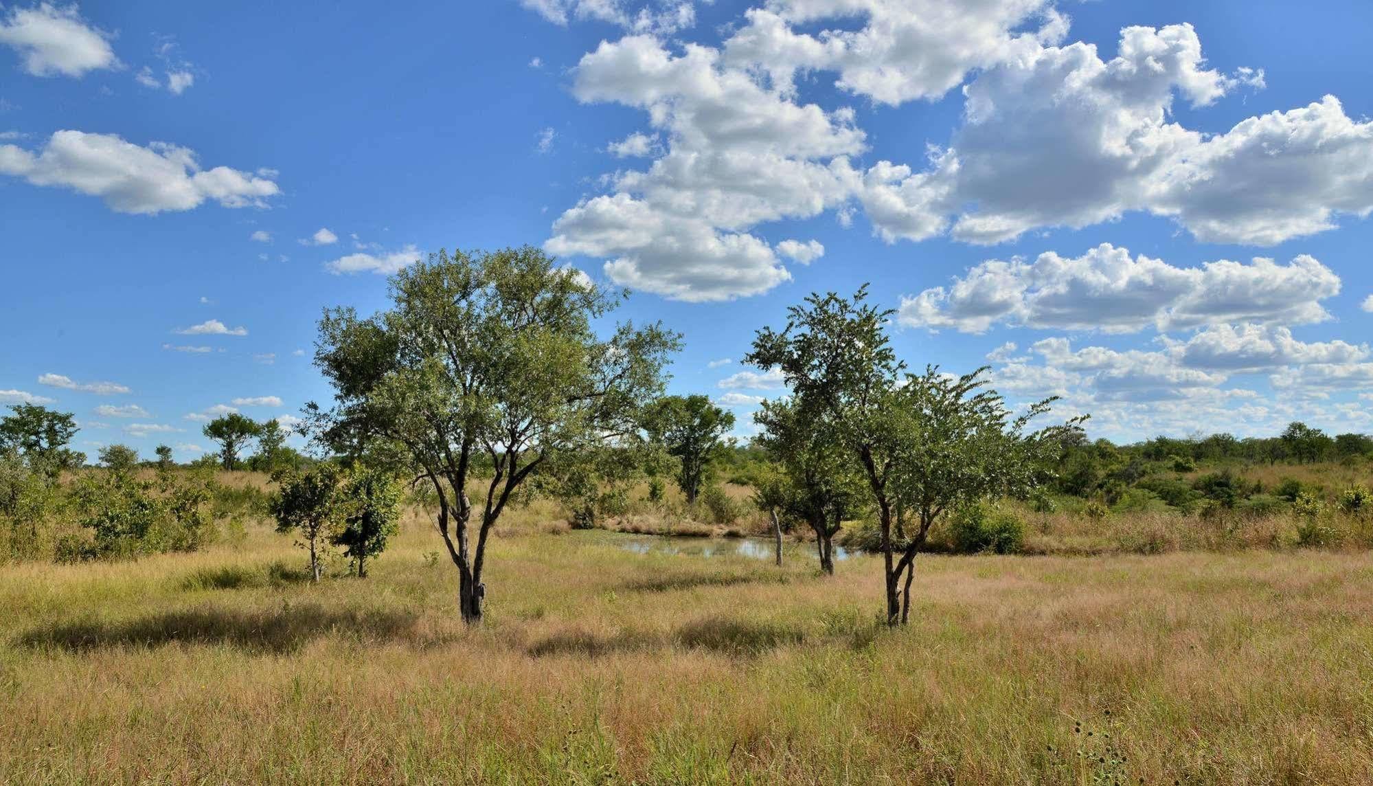Wildtrack Safaris Eco Lodge Pandamatenga Экстерьер фото